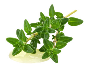 A fresh sprig of thyme with vibrant green leaves, resting on a smooth surface.