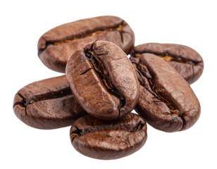 A close-up of roasted coffee beans, showcasing their rich brown color and unique shapes.