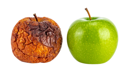 A fresh green apple next to an overripe, shriveled brown apple, highlighting the contrast between freshness and decay.