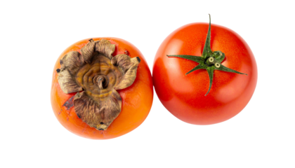 Two different fruits: a ripe tomato and a persimmon with a faded, textured calyx.