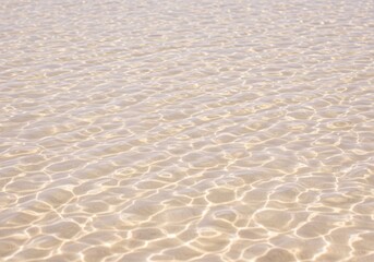 Obraz premium Tranquil clear water surface shimmering with dynamic sunlight patterns reflecting on the shallow sandy seabed, evoking peace and natural beauty