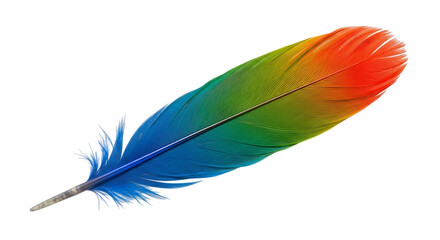 Vibrant rainbow colored feather isolated on transparent background