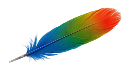 Vibrant rainbow colored feather isolated on transparent background