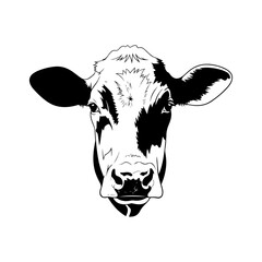 Black and White Holstein Cow Head Portrait Illustration.