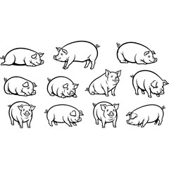 Collection of various pig illustrations in different poses and perspectives.