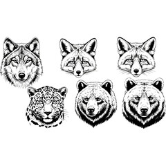 Detailed Animal Head Illustrations - Wolf, Fox, Leopard, and Bear.