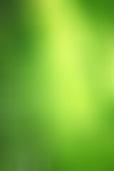 Abstract blurred bright gradient green background