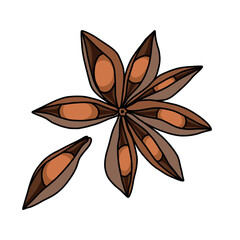 A fragrant star anise with seeds and a broken petal, rich brown in color, outline illustration