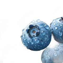Fresh Blueberries with Water Droplets transparent background.