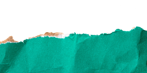 Green torn cardboard isolated on a transparent background