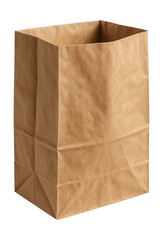 Biodegradable garden waste bag made from recycled paper, ideal for leaves and twigs.