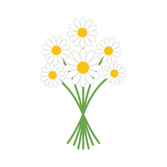 Bouquet of White Daisies with Yellow Centers Tied with Green Stems.