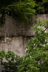 Abstract texture of a grungy, weathered concrete wall and mossy ground in a forgotten alley