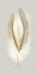 A feather with golden edges, a few feathers floating in the air