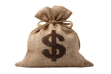 Burlap sack with dollar sign realistic texture on transparent background