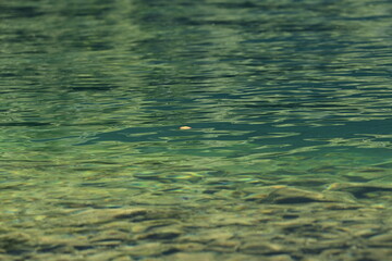 Entspannung für die Seele. Kleines gelbes Blatt treibt im klaren Wasser eines Bergsees