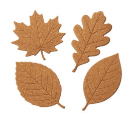 Cork coasters in autumn leaf shapes protect surfaces and add seasonal charm.