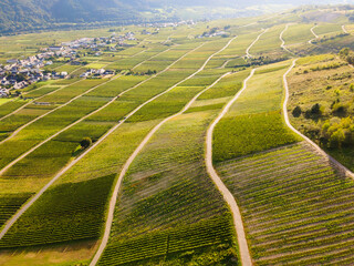 Aerial View of Moselle Vineyards