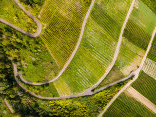 Aerial View of Moselle Vineyards