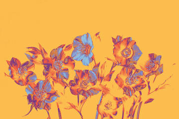 Digital artistic flowers on a soft peach background. Bold edit with violet, orange, and blue hues. Modern botanical style, minimal and decorative