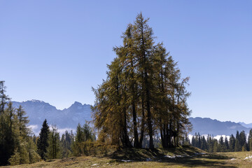 landscape on Tauplitz Alm in autumn, Styria, Austria 