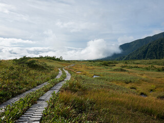 弥陀ヶ原 立山黒部アルペンルート 富山県立山町