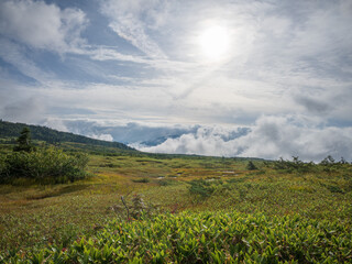 弥陀ヶ原 立山黒部アルペンルート 富山県立山町