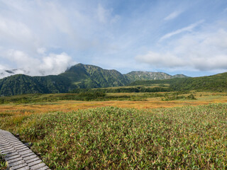 弥陀ヶ原 立山黒部アルペンルート 富山県立山町