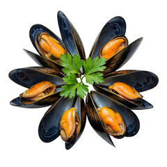 Mussels in shells with parsley, isolated on transparent background, png