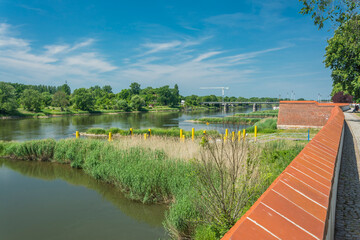 Odra w Kostrzyniu © witan