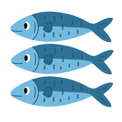 Sardines fish 