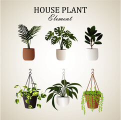 Collection of Various Potted House Plants and Indoor Greenery