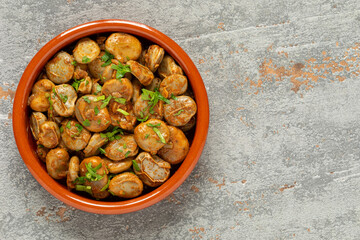 Clay tapas bowl with vegan version of Spanish habas con jamón. Fava beans cooked in olive oil and white wine with garlic, onion, and smoked paprika. Gray background with copy space.
