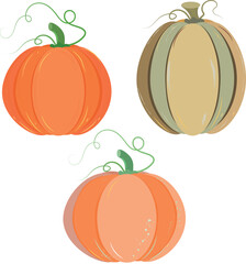 Flat vector of three pumpkins – orange and beige, with green stems. Perfect for thanksgiving, autumn decorations, and seasonal print.
