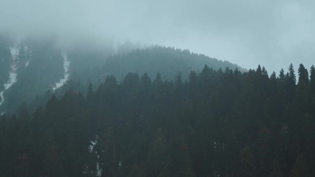 Slow motion shot of snowfall during the winter season in front of mountain peak with Pine trees on top of it as seen from Betaab valley in Pahalgam, Jammu and Kashmir, India. Scenic view of Snowfall. 