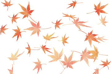 Watercolor maple leaves falling on transparent background｜autumn, fall, seasonal, Japan, foliage
