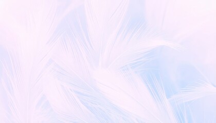 Graceful white feather blue backdrop nature s simplicity minimalist white feather on blue background captures serenity