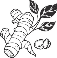 Simple silhouette vector illustration of a ginger root on white background