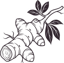 Simple black silhouette of a ginger root on white background