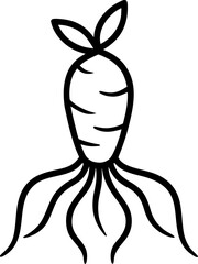 Detailed outline of a ginseng root a herbal medicinal icon