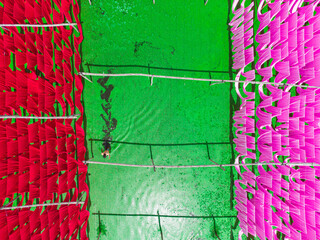 Dhaka, Bangladesh - 11 September 2022: Aerial view of vibrant red and pink fabrics hanging to dry over a shimmering green surface, creating a striking contrast of color and texture.