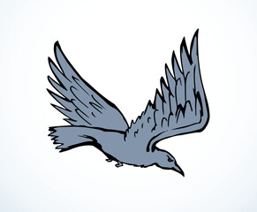 Vector drawing. Big flying bird