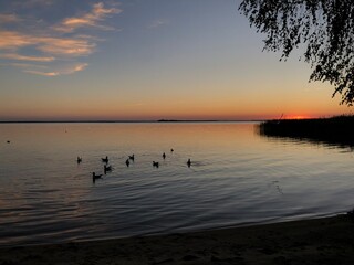 Naklejka premium sunset on the lake