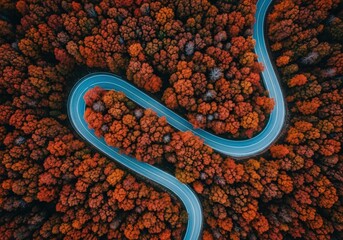 A winding road with trees on both sides