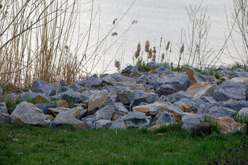 Beautiful view of lake shore with reeds, rocks, bushes and distant village houses with forest background. Sweden.