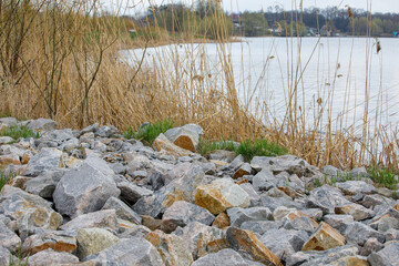 Beautiful view of lake shore with reeds, rocks, bushes and distant village houses with forest background. Sweden.