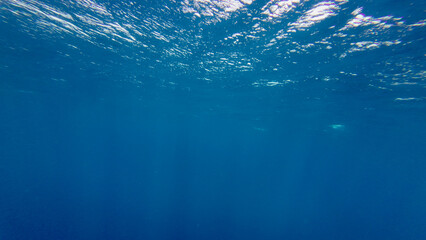 Blue ocean water glows under the sunlight, creating a calm and endless underwater view. The peaceful seascape shows the beauty and depth of the open sea. © Houston