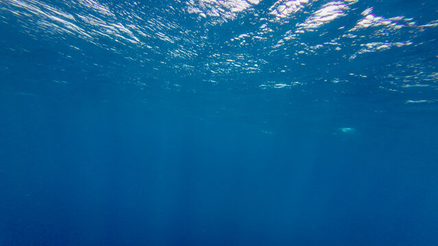 Blue ocean water glows under the sunlight, creating a calm and endless underwater view. The peaceful seascape shows the beauty and depth of the open sea.