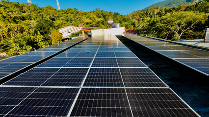 Rows of solar panels stretch across a rooftop surrounded by lush tropical greenery. The photo...