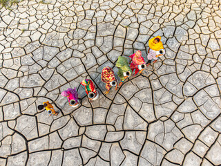 Gabura Union, Bangladesh - 25 April 2025: Aerial view of women walking across parched earth, their vibrant clothing a stark contrast to the cracked, arid landscape.